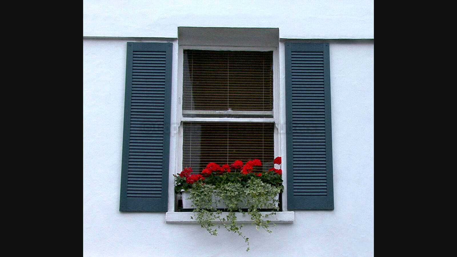 Traditional Louvre Decorative Exterior Window Shutters from Simply