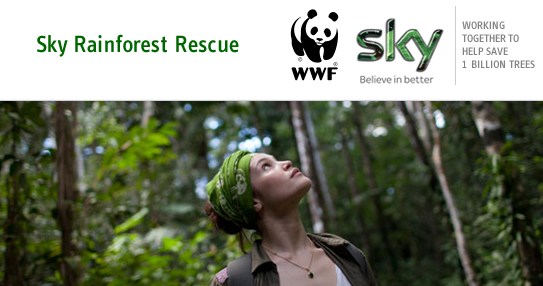 woman in forest looking up to sky
