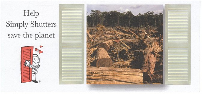 destroyed forest through window with shutters 