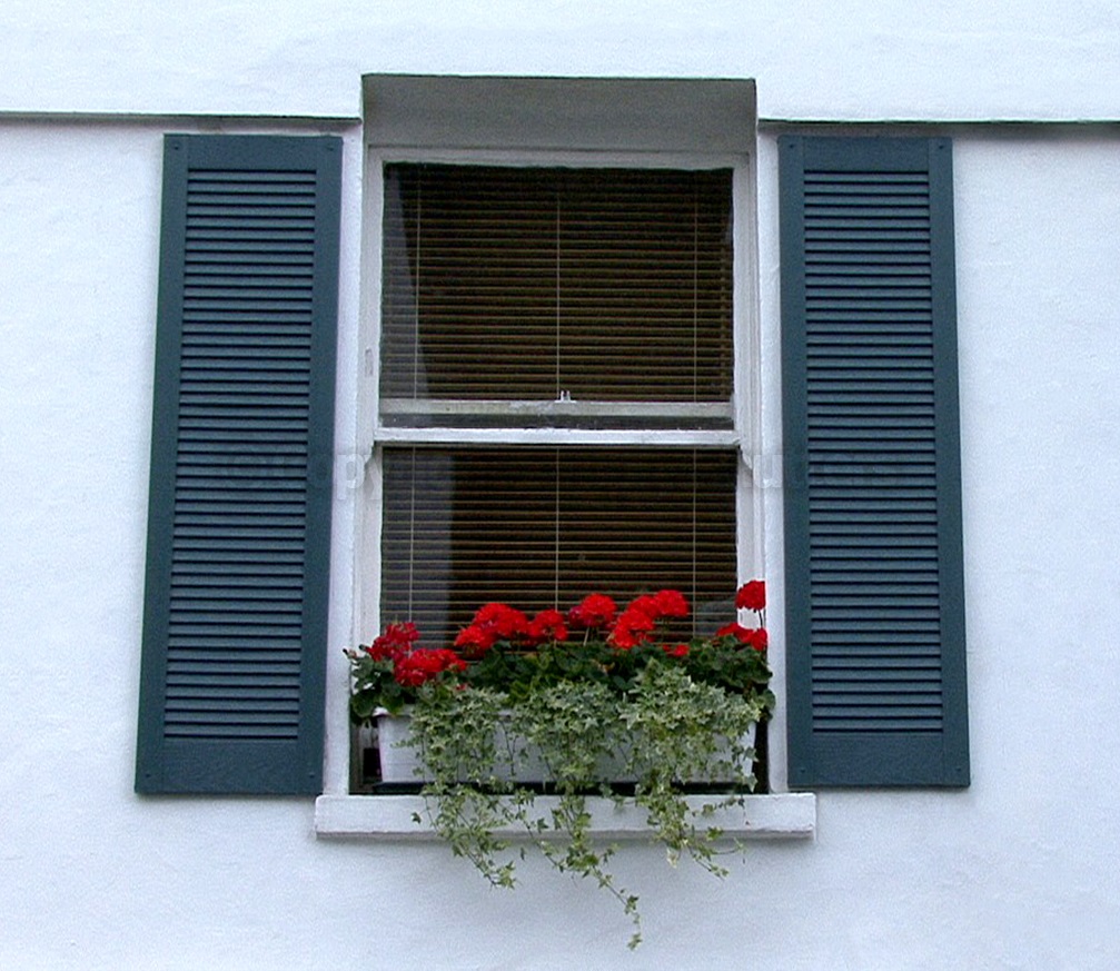 window with blue shutters and flower box 