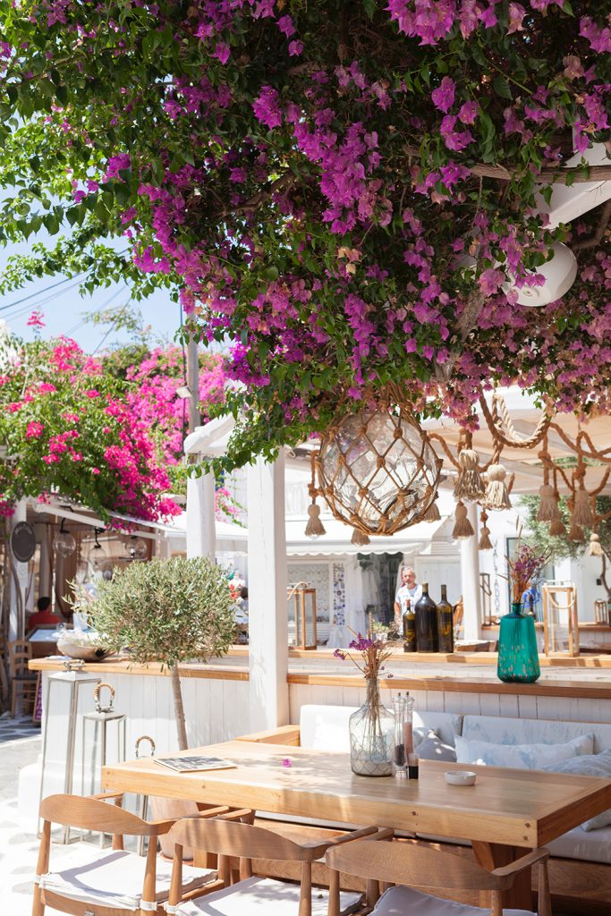 outside dining table below blossom tree 