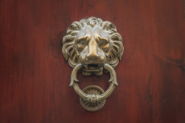 Lion shaped brass door knocker 
