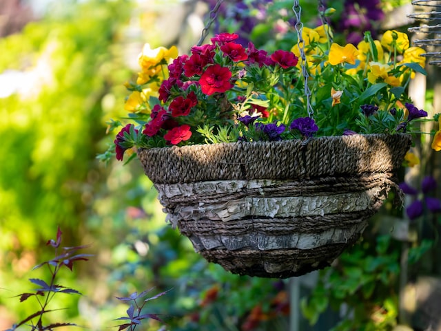 hanging basket with pink, purple and yellow flowers in it, 